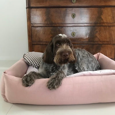Classic Dog Bed