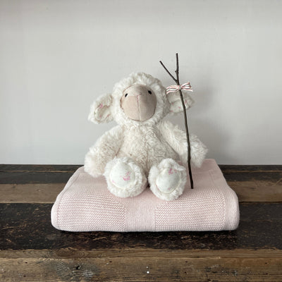 Lettice the Lamb Dog Toy