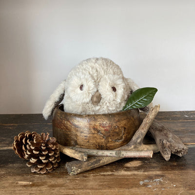 Ooo-Noo Owl Dog Toy