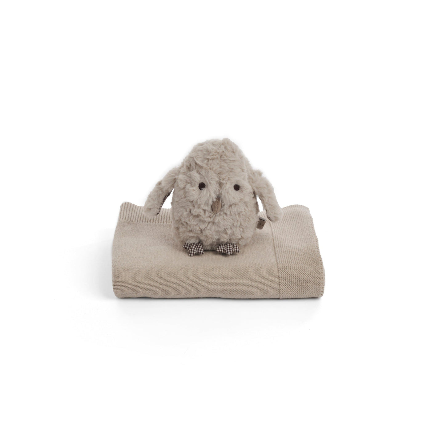 Ooo-Noo Owl Dog Toy