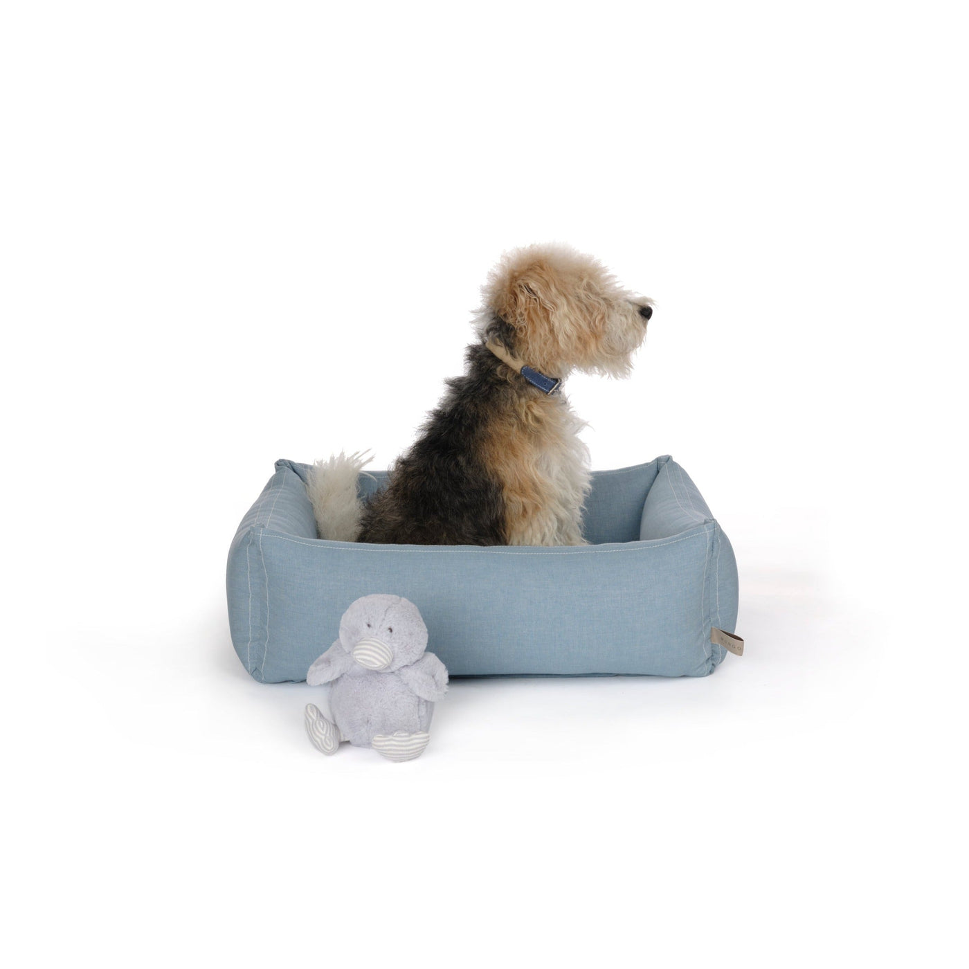 Dora the Duck Dog Toy