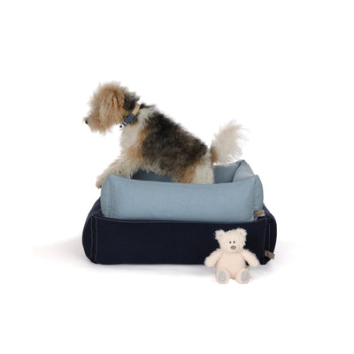 Benedict the Bear Dog Toy