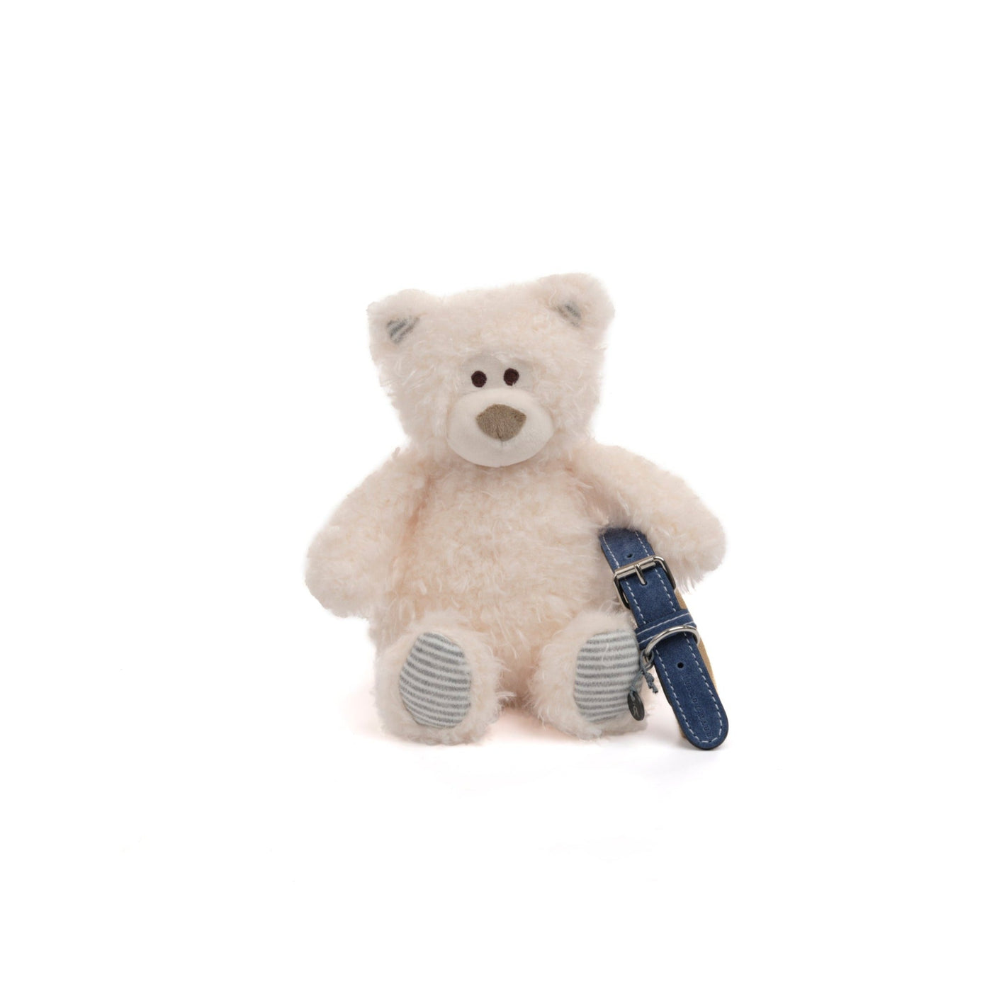 Benedict the Bear Dog Toy