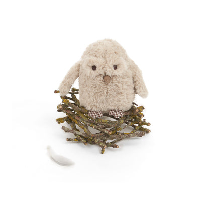 Ooo-Noo Owl Dog Toy