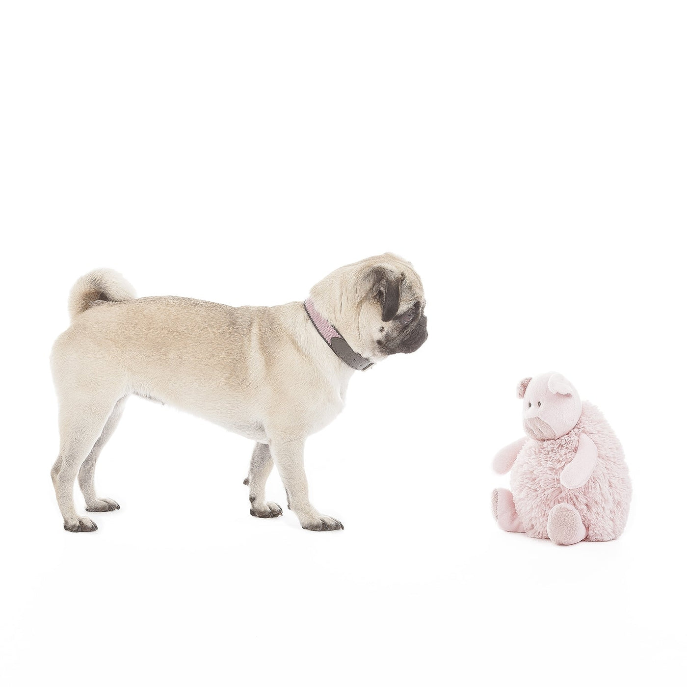 Polly the Piglet Dog Toy